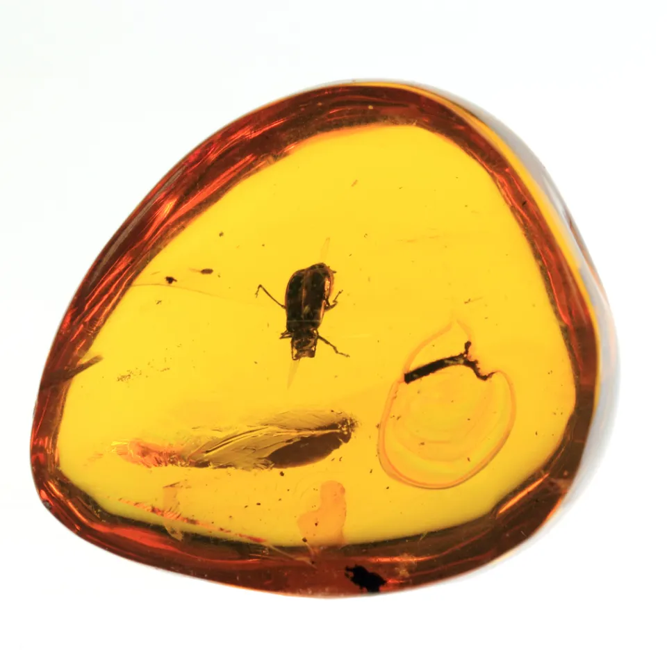 Der Bernstein bringt den Beweis