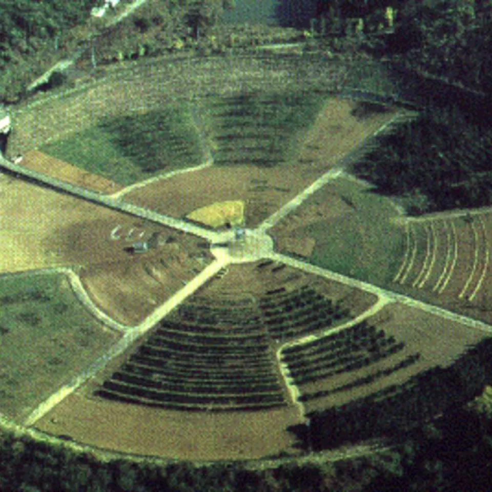 Neue Züchtungstechniken fallen nicht unters Gentechnikgesetz