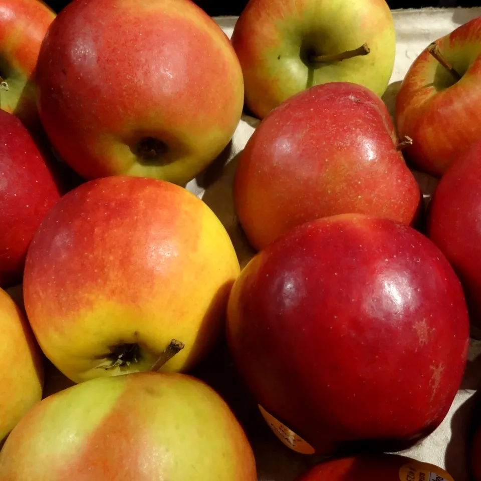 Über die Lagerfähigkeit von Kernobst