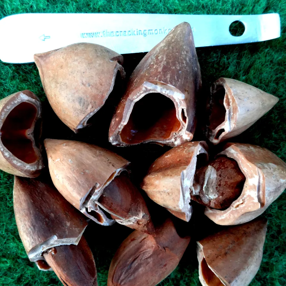 25 Jahre FRUIT LOGISTICA