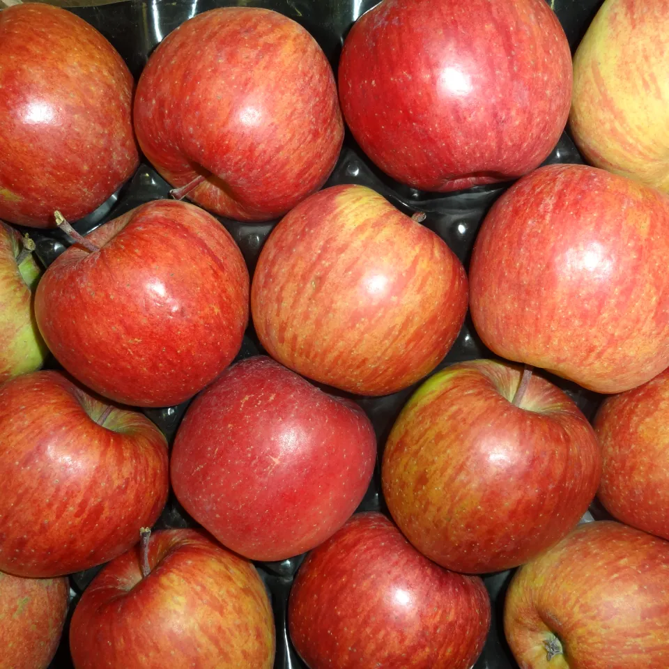 Nur beste Apfel-Qualität einlagern