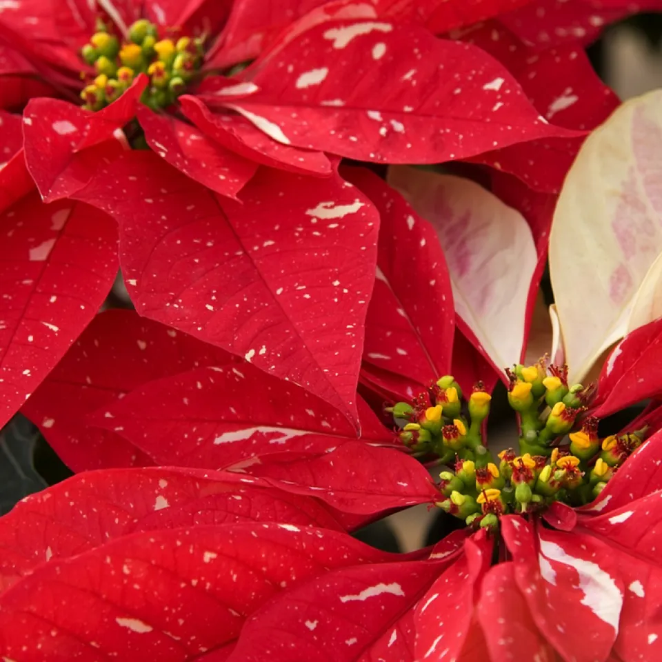Anspruchsvolle Arbeit für den Fachmann