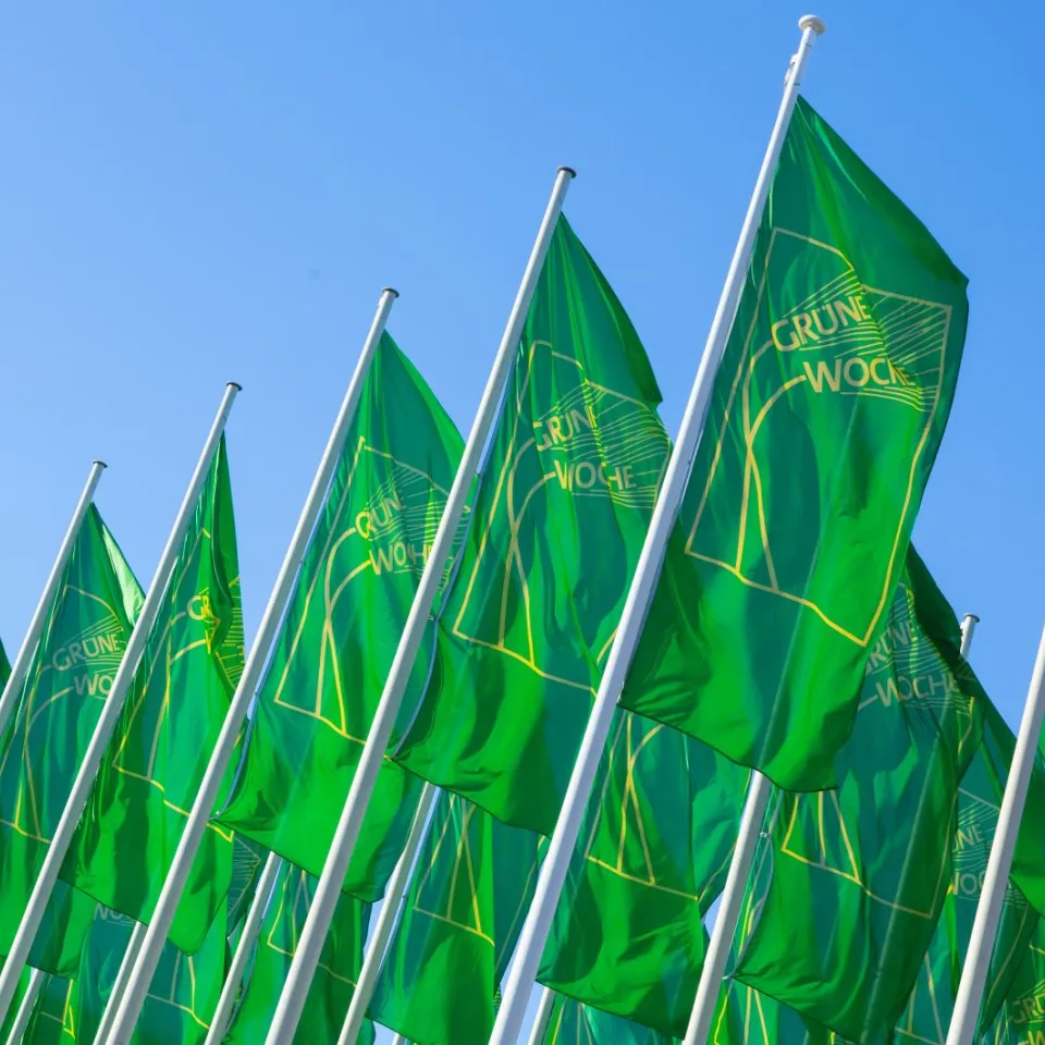 Die Grüne Woche: lecker, trendig und informativ