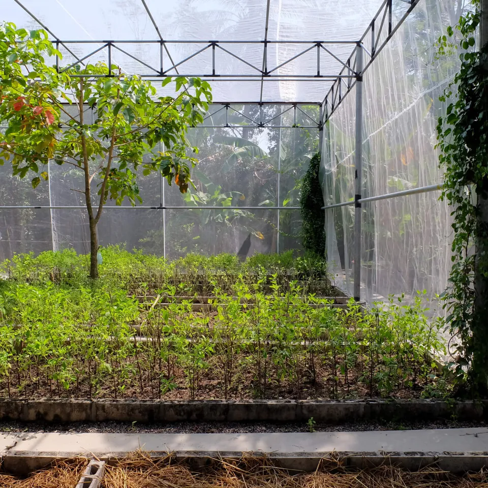 Gleichzeitig bewässern und düngen