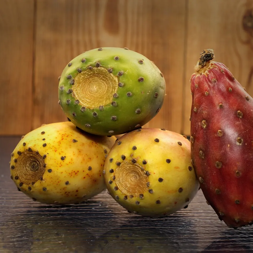 Kaktusfeigen: Vor dem Genuss steht die Vorsicht