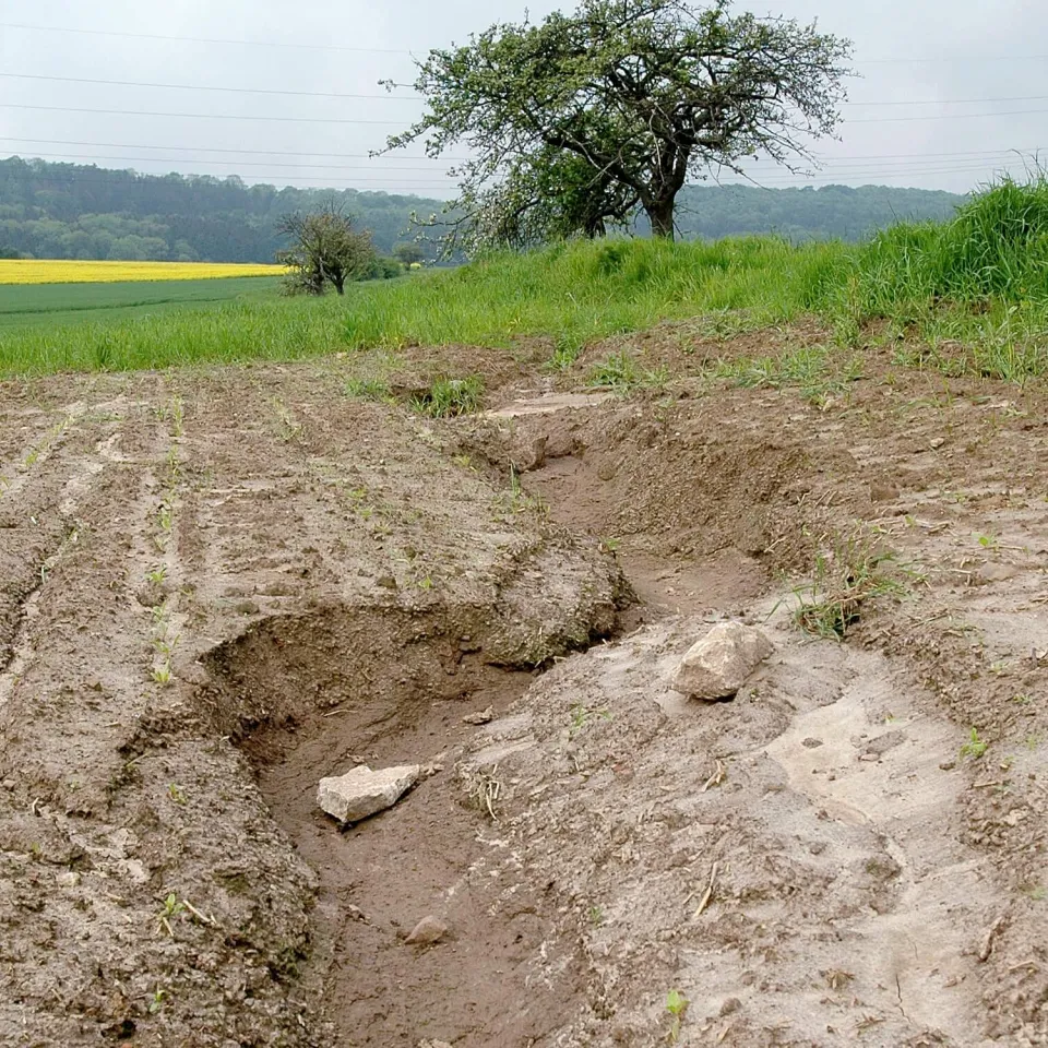 Boden des Jahres 2021: Der Lössboden