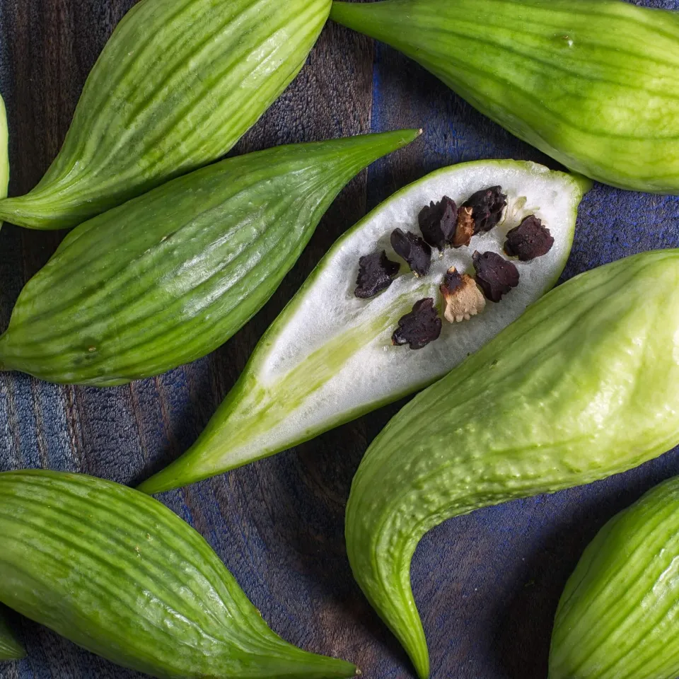 Der Hörnchenkürbis aus den Anden