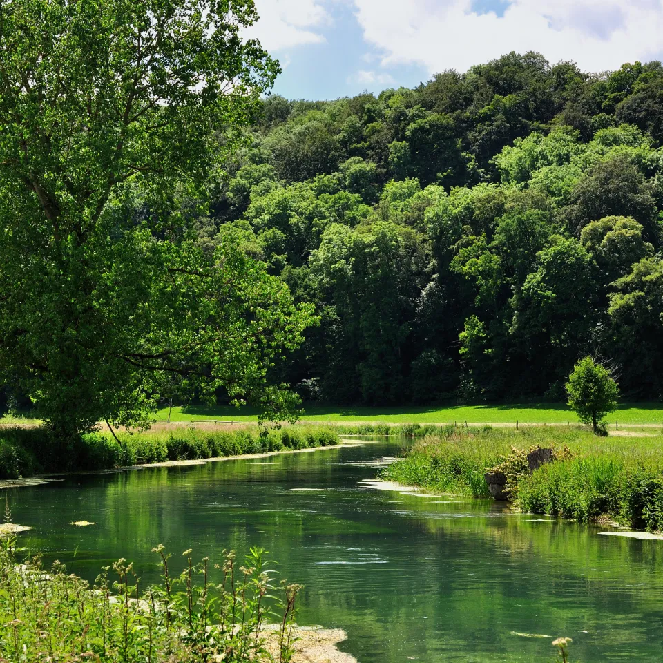 Internationaler Tag der Flüsse am 24. September 2017