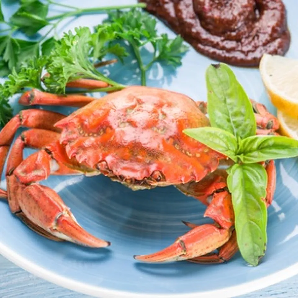 Die Kraft, die von den Krabben kommt