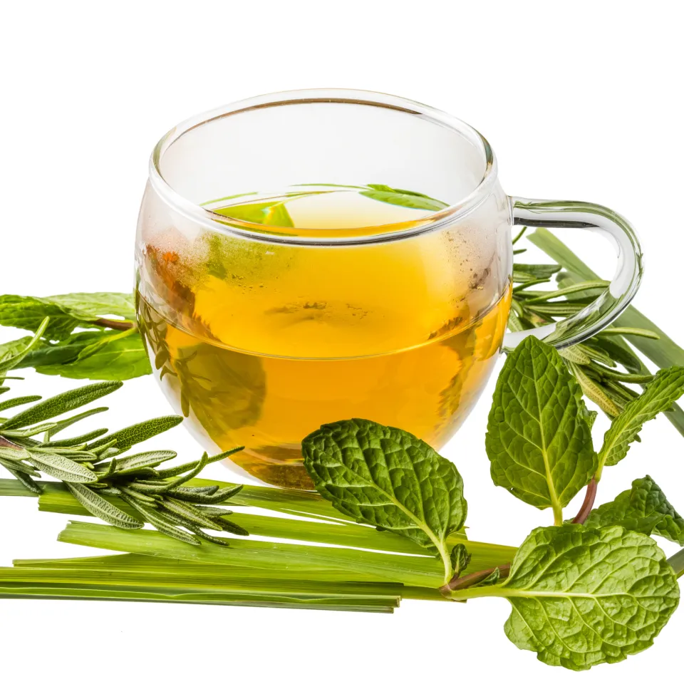 Weniger Pyrrolizidinalkaloide in Arzneipflanzen