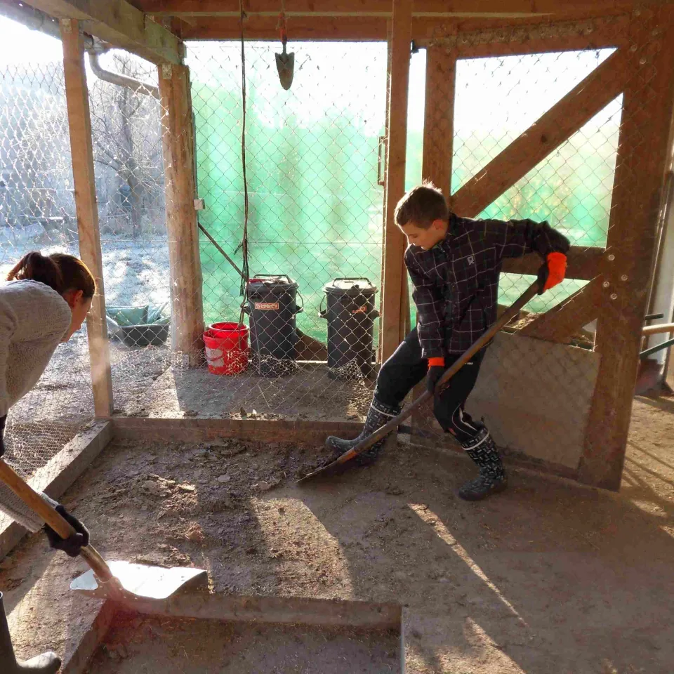 Lernort: Schulbauernhof