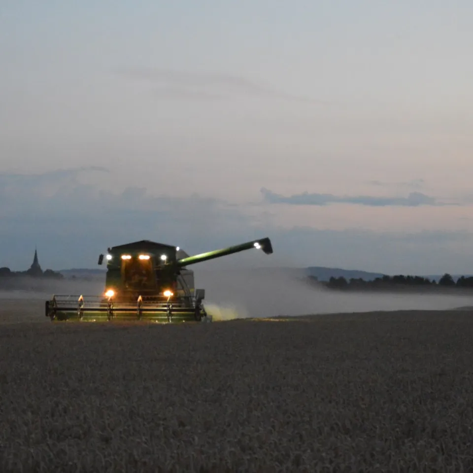 Getreideernte 2018: Zwischen Durchschnitt und Desaster