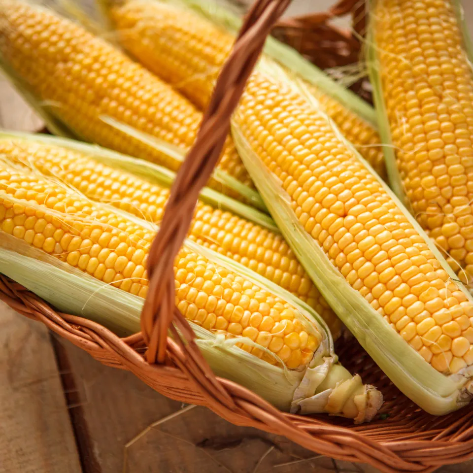 Popcorn ist nur die Spitze des „Maisbergs“
