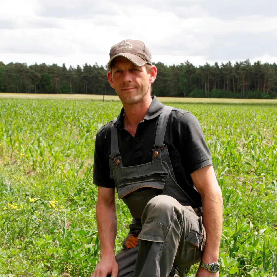 "Der Acker ist schön grün – aber nicht mit der Kulturpflanze!"