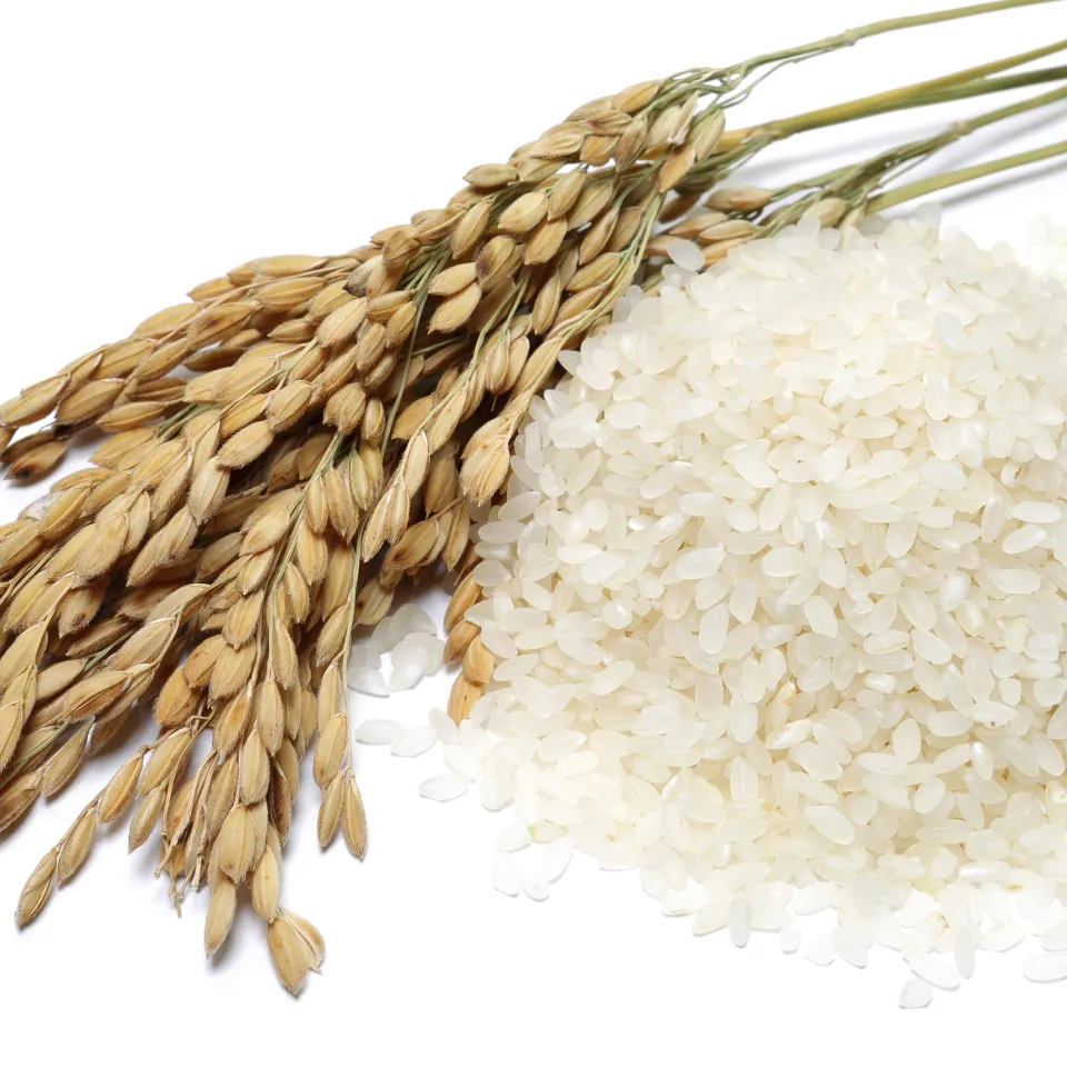 gv-Reis mit höherem Eisen- und Zinkgehalt  