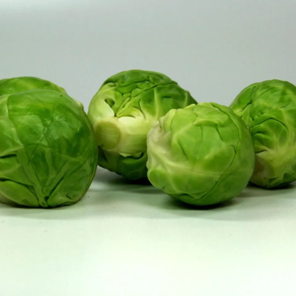 Rosenkohl: Der Gesundheitskick im Winter