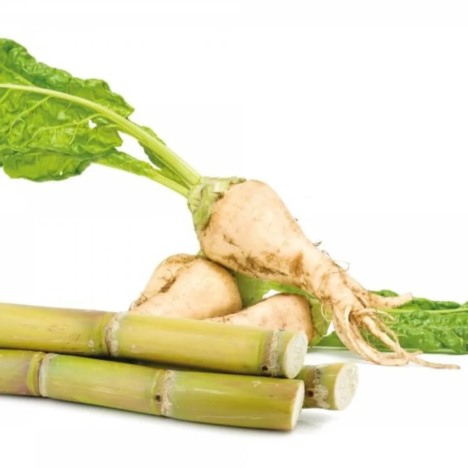 Verdrängt Rohrzucker ab 2017 heimischen Rübenzucker?