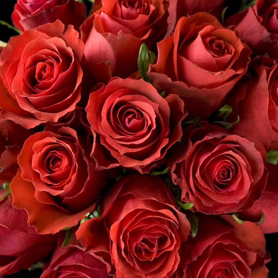 Valentinstag, der Tag der Liebenden