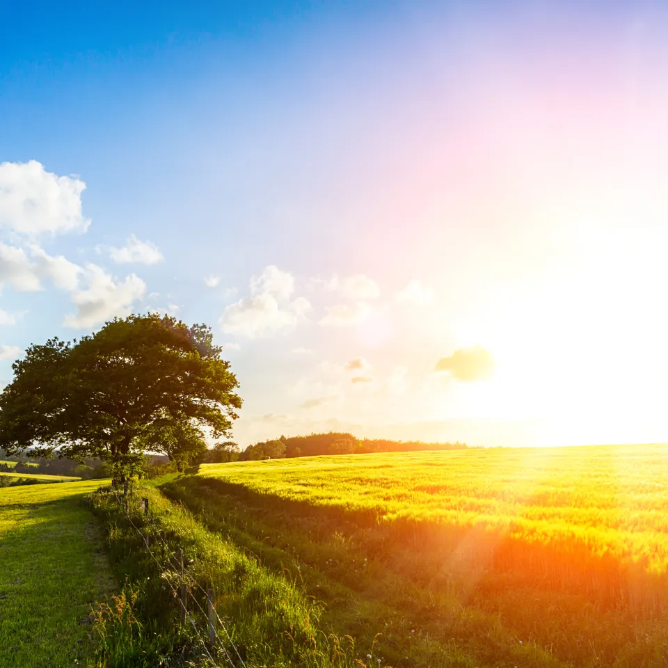Der Siebenschläfertag: Legende oder Wirklichkeit?