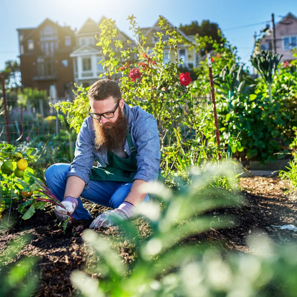 Offene Gartenpforten am 11. Juni 