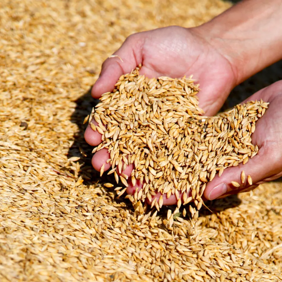 Welternährungstag am 16. Oktober 