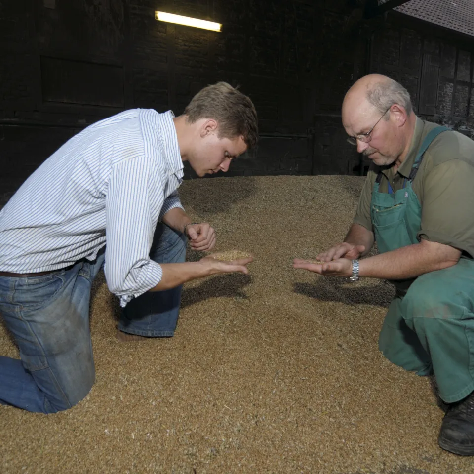 Hygienische und verlustfreie Getreidelagerung wird schwieriger