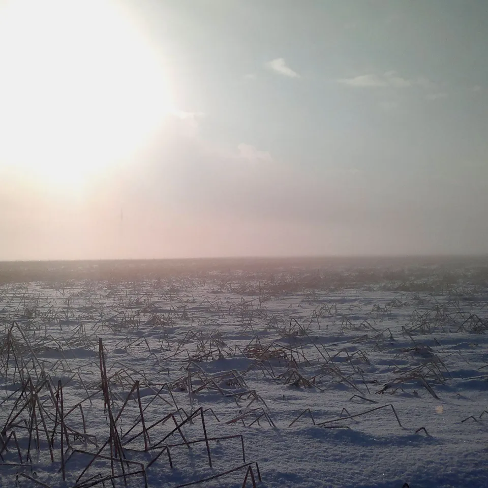 Ruhe auf dem Acker, Zeit für das Betriebsbüro