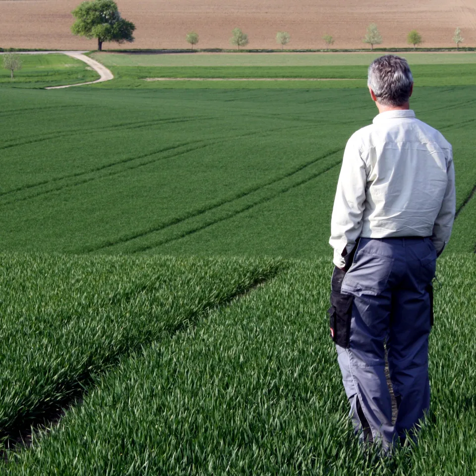 IVA: „Verlängerung nur eine unbefriedigende Zwischenlösung“