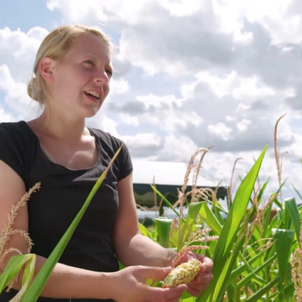 Mit "Schau ins Feld!" Wertschätzung für Landwirtschaft steigern