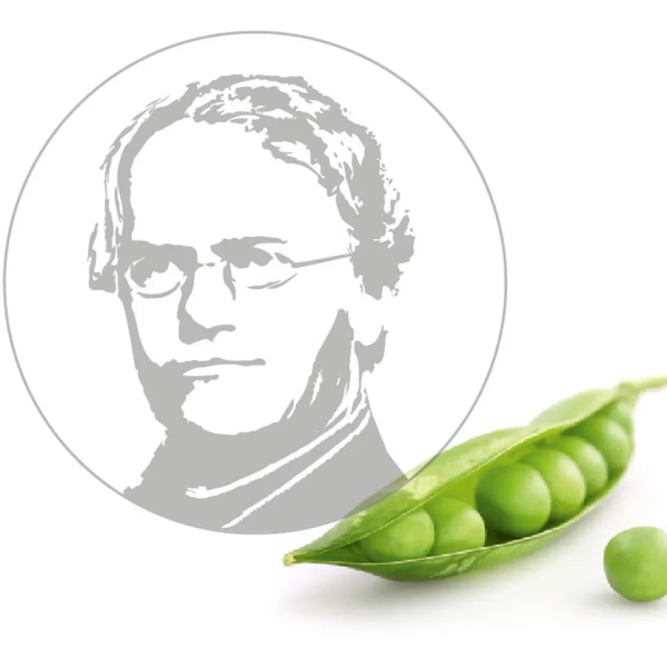 Pflanzenzüchter rufen Fotowettbewerb aus