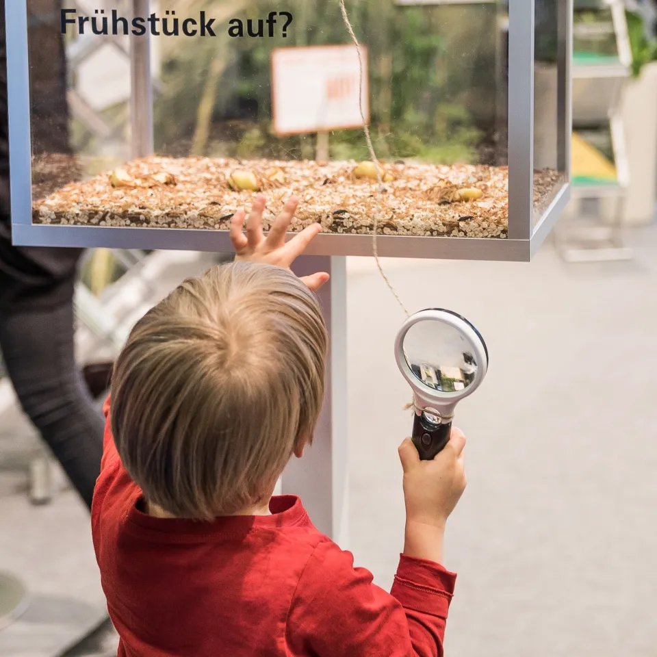 In neuem Gewand: IVA-Stand auf der Grünen Woche 2019