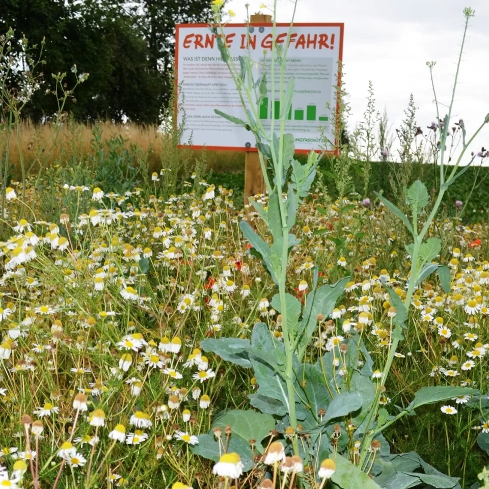 "Schau ins Feld!" 2017 - Mitmach-Aktion für Landwirte geht in die dritte Runde