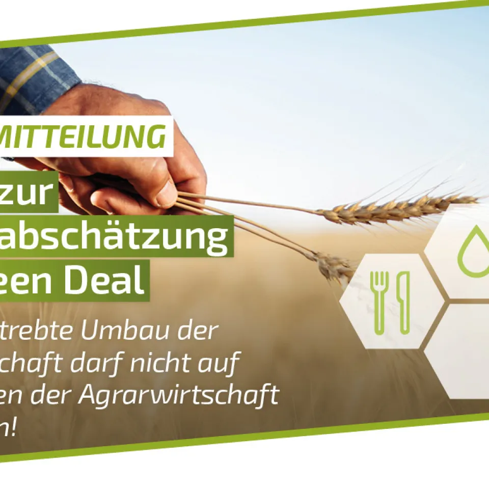 Studie zur Folgenabschätzung des Green Deal