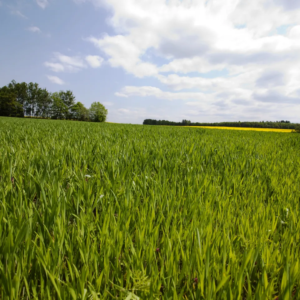 IVA: "Vorschläge der EU-Kommission im schlimmsten Fall kontraproduktiv"