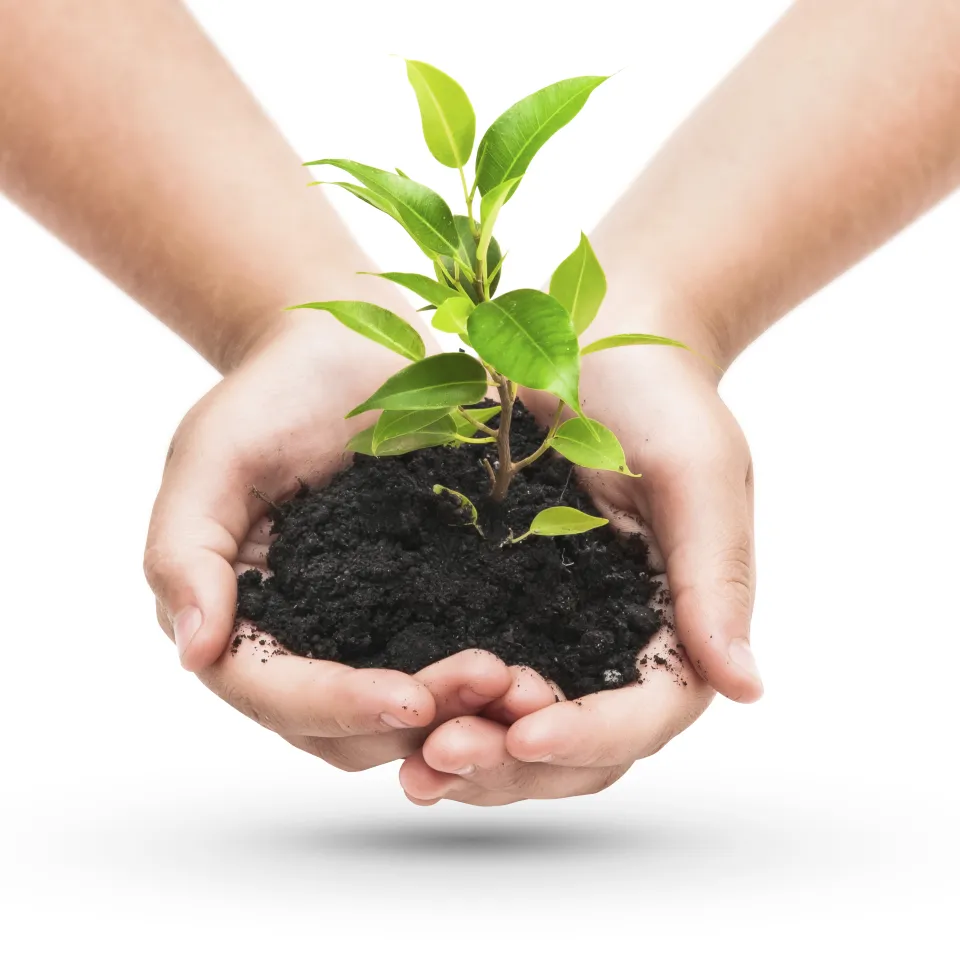 "Farm to Fork"-Strategie der EU: Ein Beitrag der Mineraldünger-Industrie