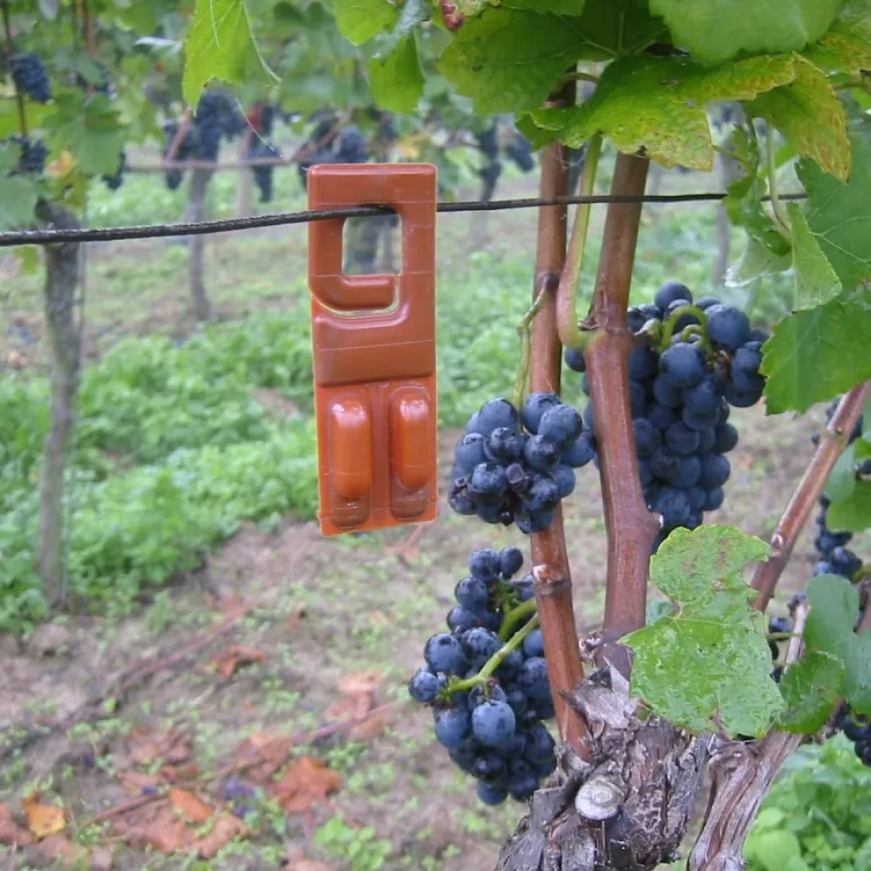 PAMIRA vor neuer Saison 2021