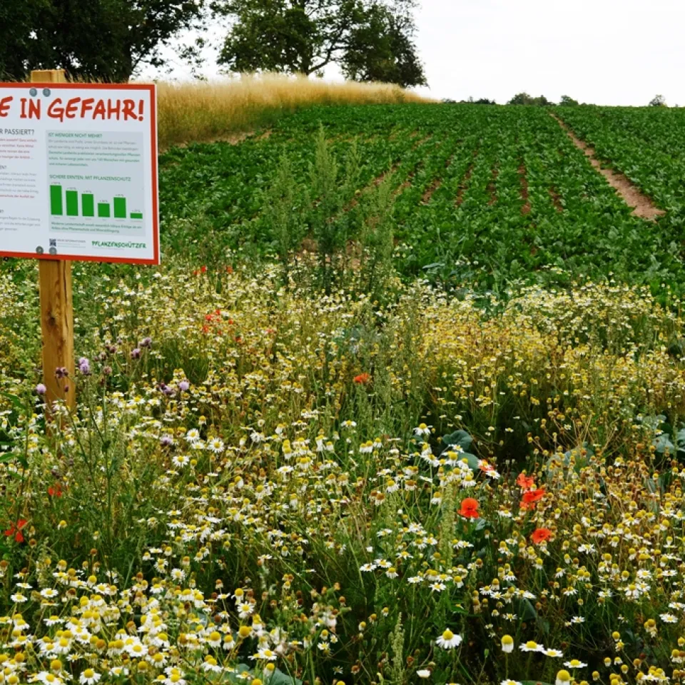 IVA: Landwirte machen Nutzen des Pflanzenschutzes sichtbar