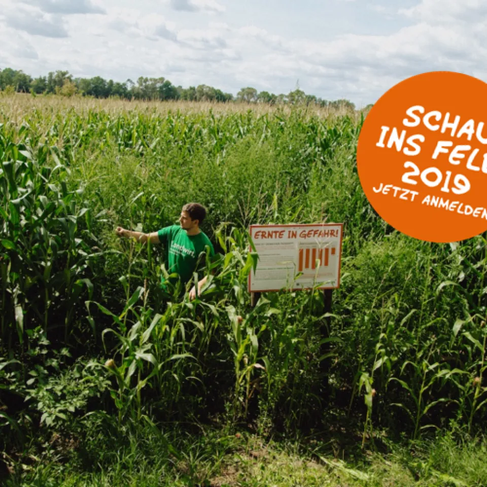 "Schau ins Feld!" 2019 – Kommunikation säen, Dialog ernten