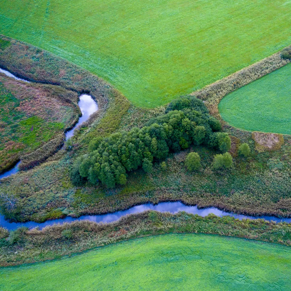 Perspektive Pflanzenbau: 15-mal mehr Nachhaltigkeit