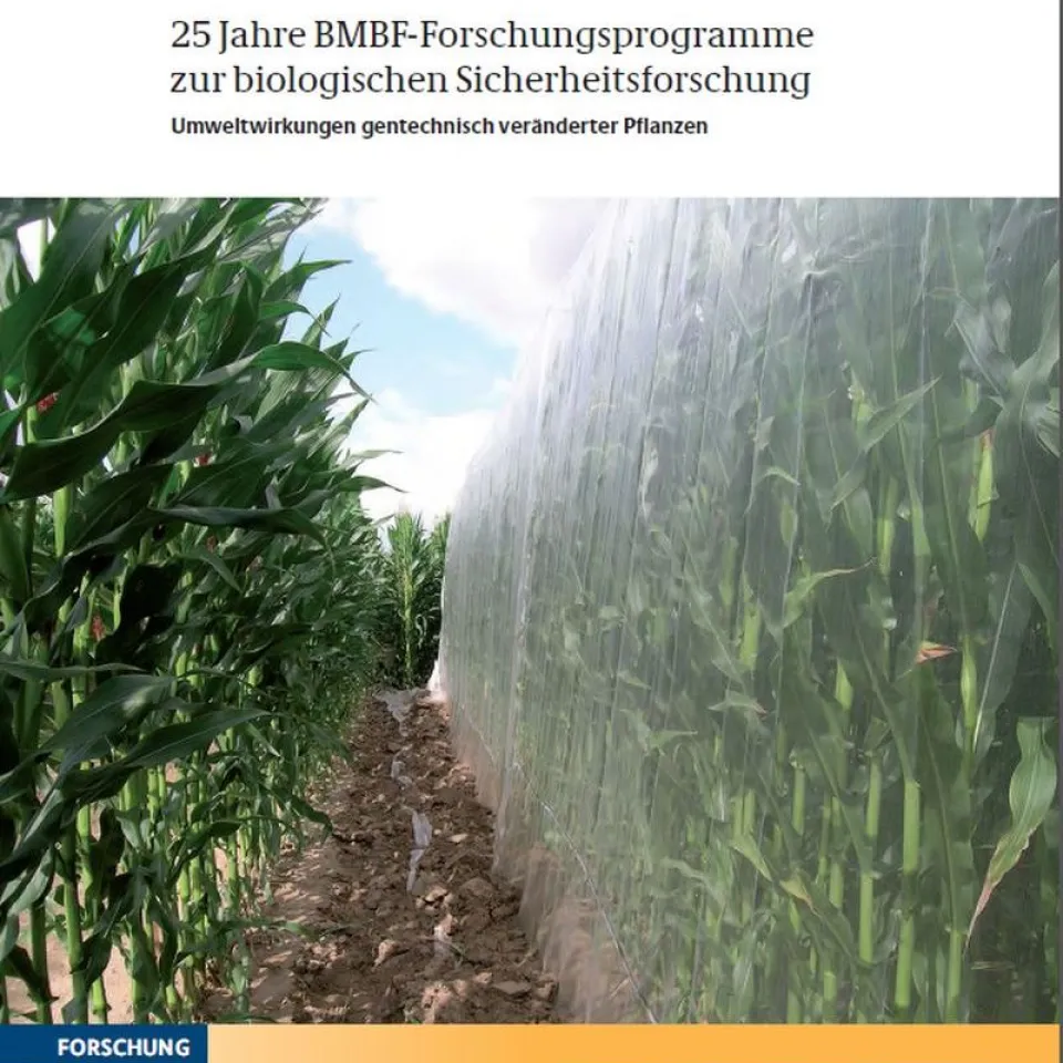 25 Jahre Biologische Sicherheitsforschung – kein Hinweis auf Schäden durch Gentechnik