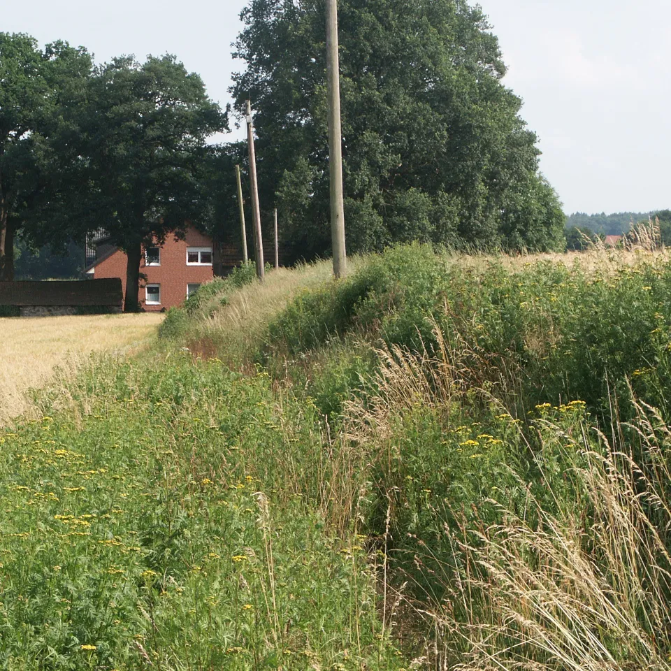 Boden des Jahres 2013: Der Plaggenesch