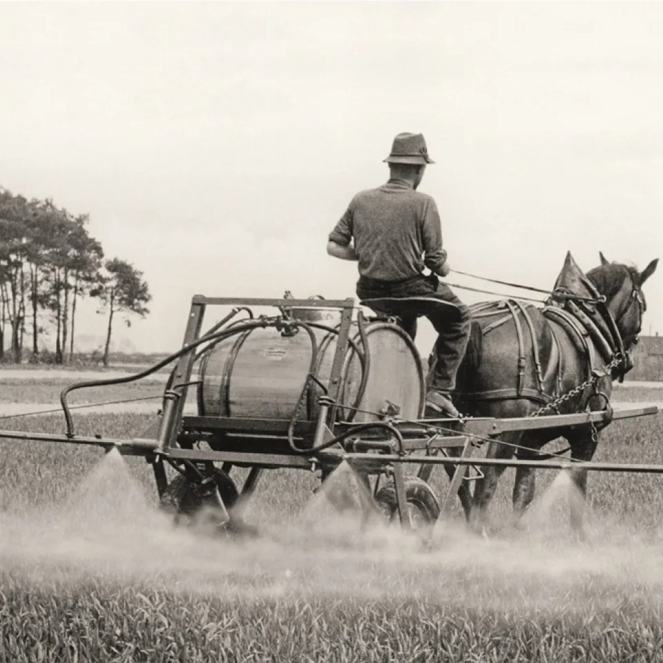Von der Schwefelkalkbrühe bis zum Hightech-Pflanzenschutz