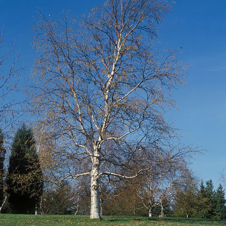 Zahlen, Daten, Fakten 10/06