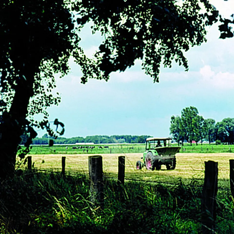 Auch Wiesen und Weiden brauchen Düngung