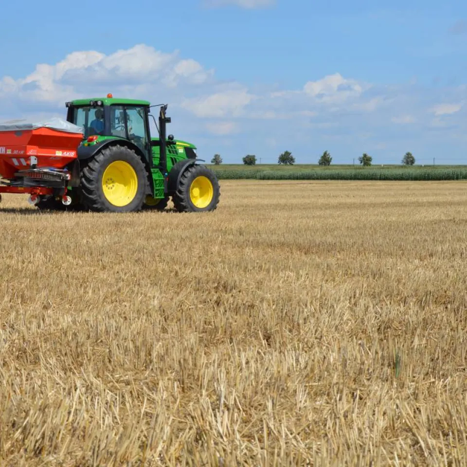 Kalium reguliert Wasserhaushalt