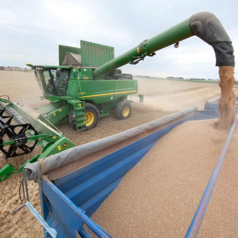 Nummer eins in Deutschland, weltweit Rang drei (Teil 2)