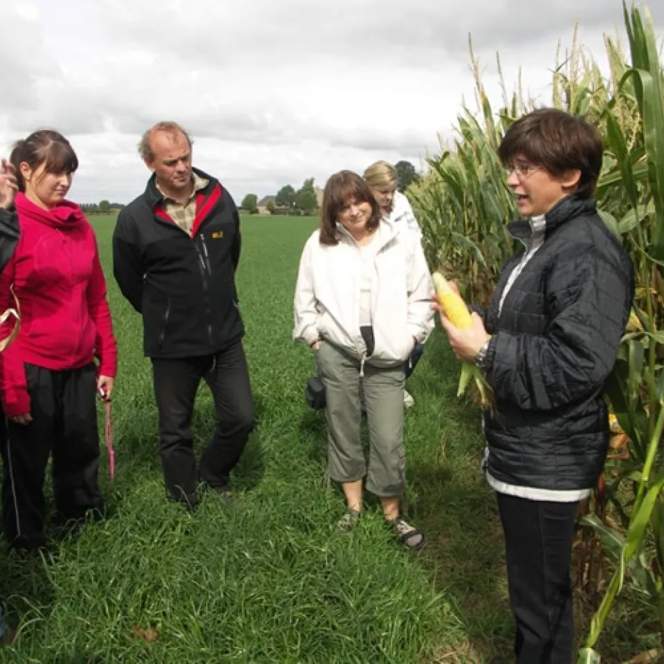 Lehrer lernen Landwirtschaft 