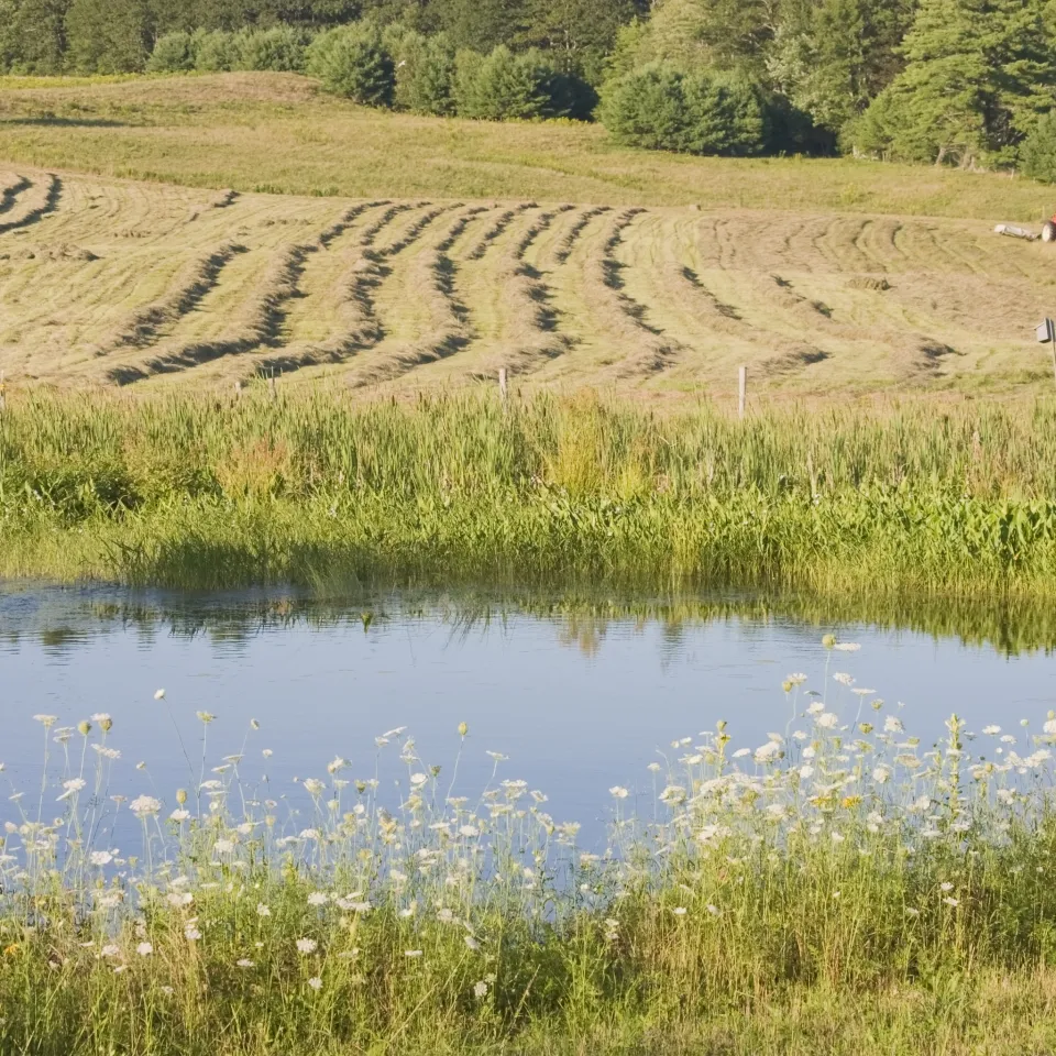 Grundwasserneubildung – Landwirte sind auch Wasserwirte