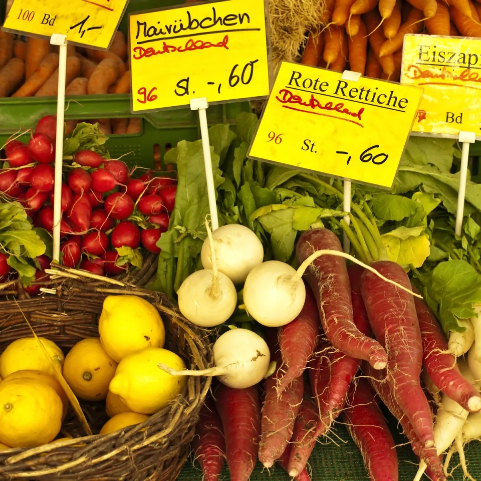 Lebensmittel – sicher und gesund