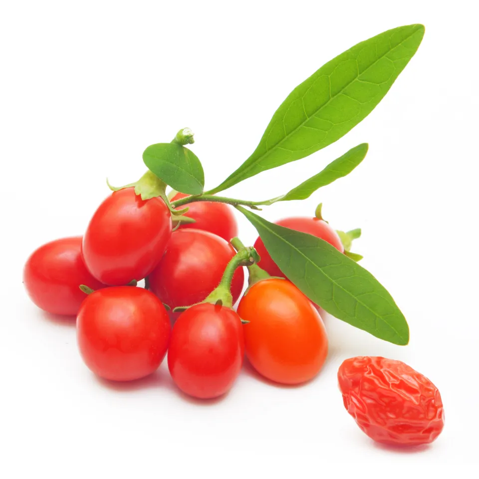 Goji-Beeren – leuchtend rot und stark gefragt